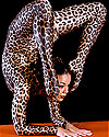 ÁêñïâÜôåò: Cirque Le Masque