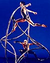 Momix: Opus Cactus