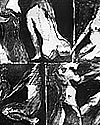 ×áñáêôéêÜ: Êáôåñßíá Ðáðáäçìçôñïðïýëïõ