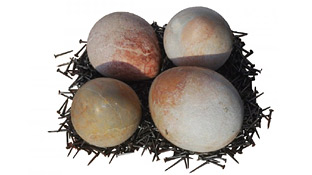 Ãéþñãïò Êáëôóßäçò: ÃåíåôÞóéá ÌíÞìç