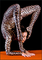 ÁêñïâÜôåò: Cirque Le Masque