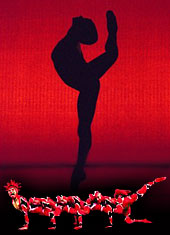 Momix: Opus Cactus